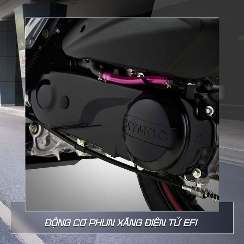 Xe ga 50cc Kymco Candy Hermosa FI New 2025