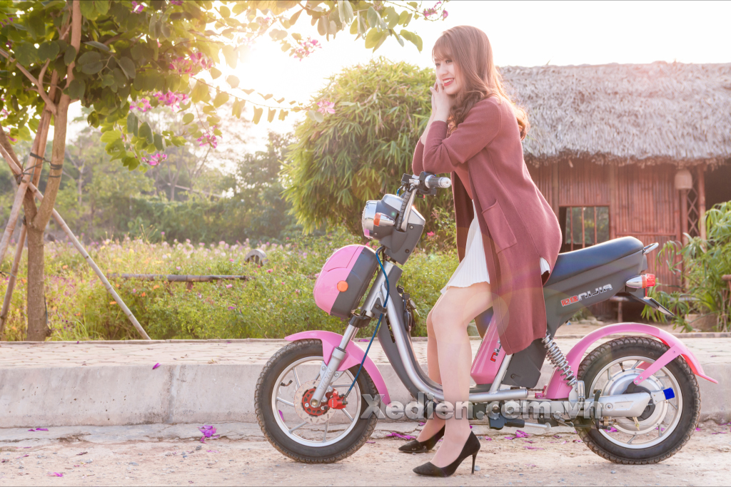 Xe điện Nijia 2016