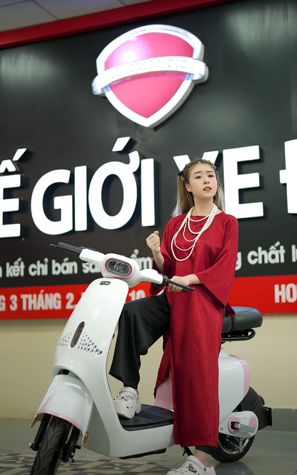 Chọn Xe Đạp Điện Chạy Pin Hay Acquy