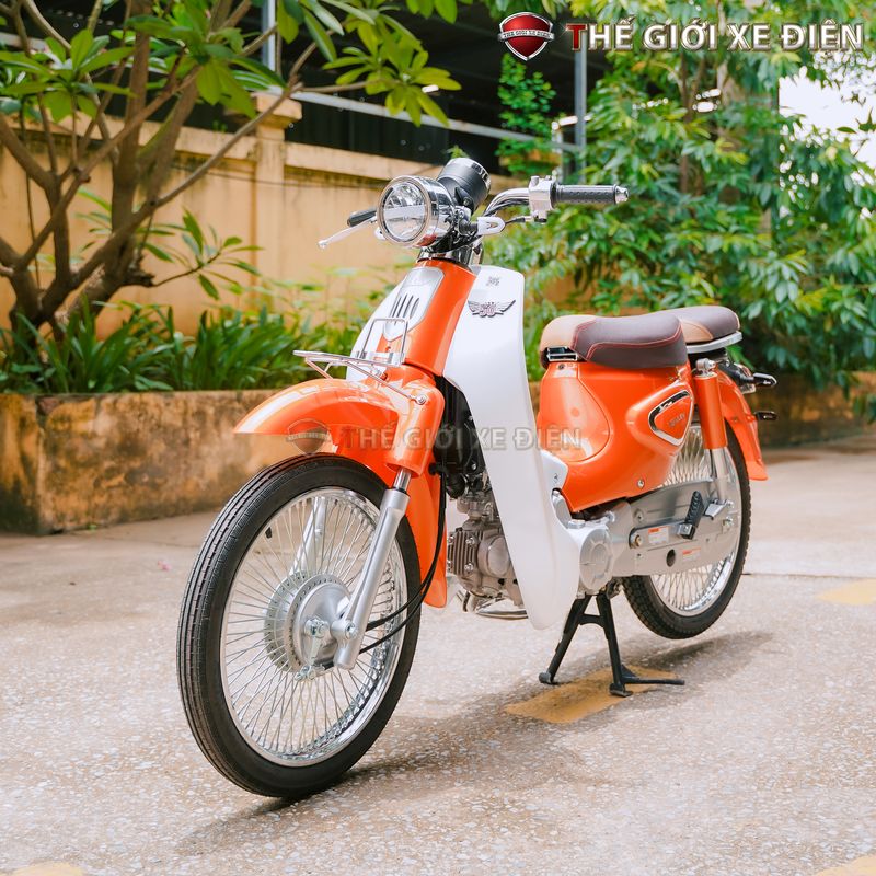 Vẻ Đẹp Xe Máy 50cc Cub New Vigor Ally Thanh Thoát, Mới Lạ