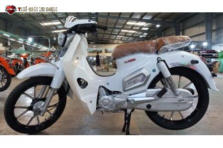 Xe Máy 50cc Cub Việt Thái Bản Vành Đúc 2023