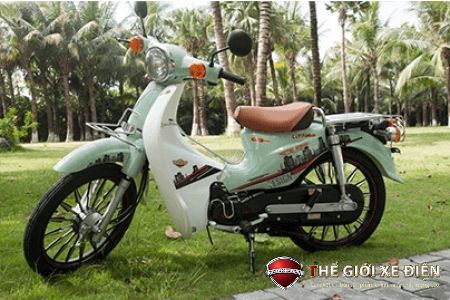 Xe Máy 50cc Cub Victoria Việt Nhật 2023